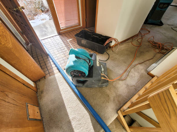 Best 24/7 water damage repair  in Worland, WY