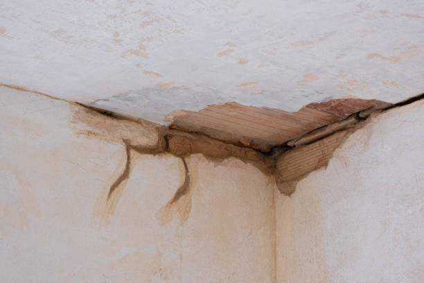 Best Basement water damage restoration  in Worland, WY