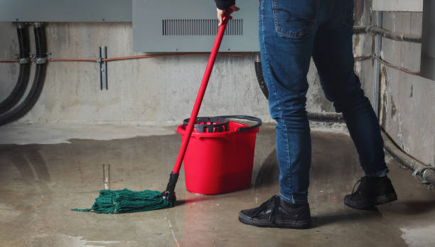 Best Sewage cleanup and water damage restoration  in Worland, WY