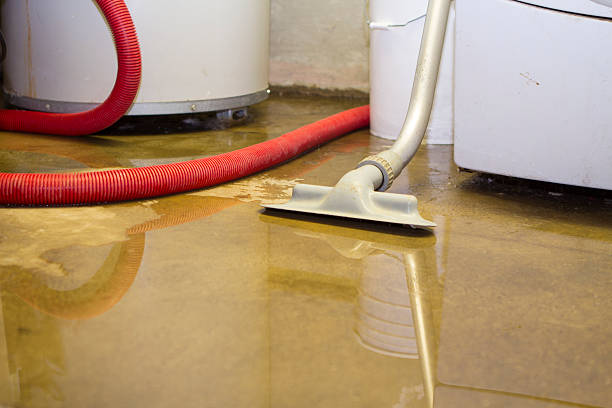 Best Water damage restoration specialists  in Worland, WY