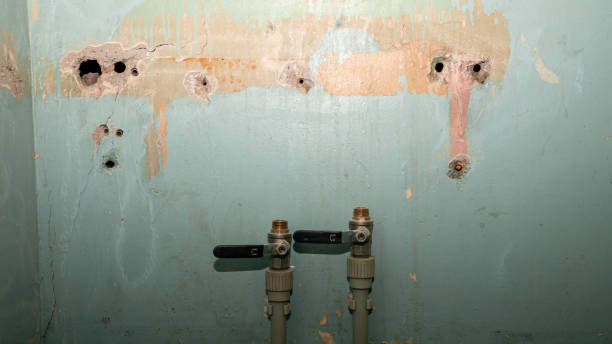 Best Local water damage restoration  in Worland, WY