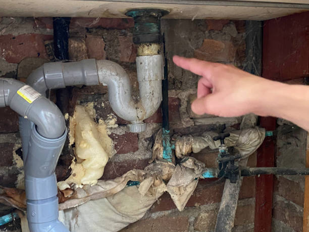 Best Ceiling water damage repair  in Worland, WY