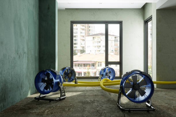 Best Emergency water damage restoration  in Worland, WY